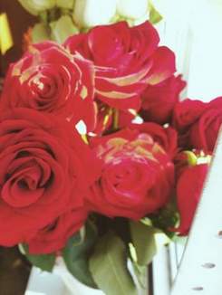 А. Добрынин - Розовые розы (У Светки Соколовой День рожденья)