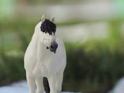 А. Малинин - Белый конь