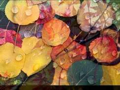 Алла Иошпе - Осенние листья