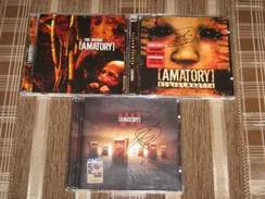 Amatory - Bloodline (Slayer Cover)