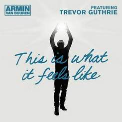 Armin Van Buuren feat. Trevor Guthrie - This is what it feels like (Sania Pooshok Remix)