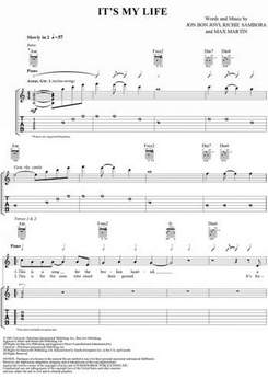 Bon Jovi - Its My Life (acoustic piano version)