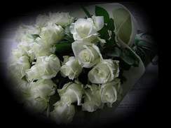 Букет из белых роз - Букет Из Белых Роз