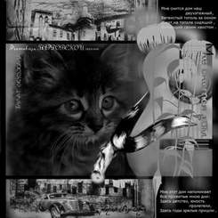 Булат Окуджава - Песня про черного кота