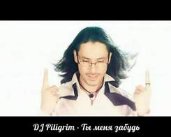 DJ Пилигрим - Мне не жить без тебя
