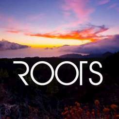 Imagine Dragons - Roots (Instrumental)