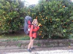 Людмила Гурченко - Хочешь сладких апельсинов?