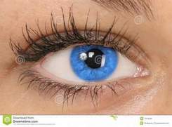 М.Кредо - Голубые глаза