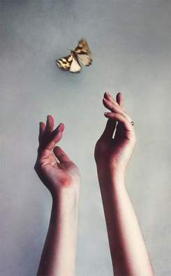 Майли Сайрус и Билли Рэй Сайрус - Butterfly Fly Away