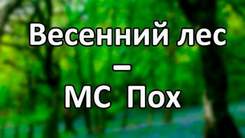 MC POH - Весенний Лес