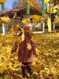 Минус - Листья желтые над городом кружатся