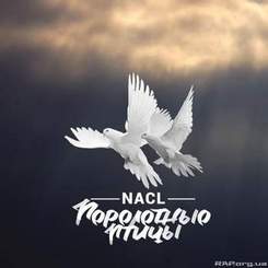 NaCl - Перелётные птицы