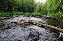 Надежда Кадышева - Течёт ручей, бежит ручей