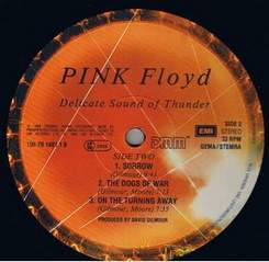 Pink Floyd-Delicate Sound of Thunder(винил)1989 - Sorrow