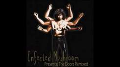 Infected Mushroom Presents The Doors Remixed - Riders On The Storm (Infected Mushroom Rmx)