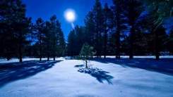 Романс - В лунном сиянье снег серебрится