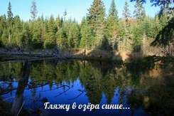 Русские народные песни - Гляжу в озера синие