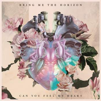 S?W (So What?) - Can you feel my heart?  (Bring Me The Horizon Cover)