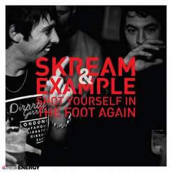 Skream feat. Example - Shot Yourself In The Foot Again