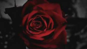 Sting & DJ Igor - Desert Rose (Hard Dance Techno Remix) - OST Clon