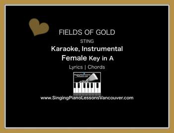 Sting - Fields Of Gold (Instrumental)