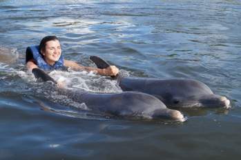 Света - Синеглазые дельфины