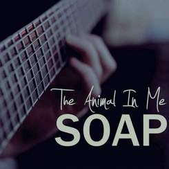 The Animal In Me - Soap (Melanie Martinez Cover)