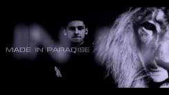 V7 CLUB - Made in Paradise