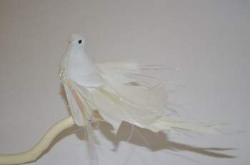 Вероника Агапова - Свадебные голуби