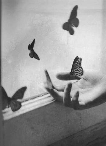 vintage.beat - Сдохли бабочки в моем животе.