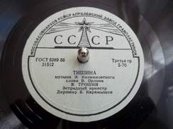 Владимир Трошин - Тишина (1984 муз. Эдуарда Колмановского - ст. Виктора Орлова)