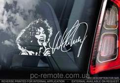 Whitney Houston - I will always love you (оригинальный минус)