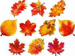 Зара - Осенние листья (Б. Мокроусов-М. Лисянский) вальс