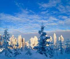 Зима - У леса на опушке Жила зима в избушке